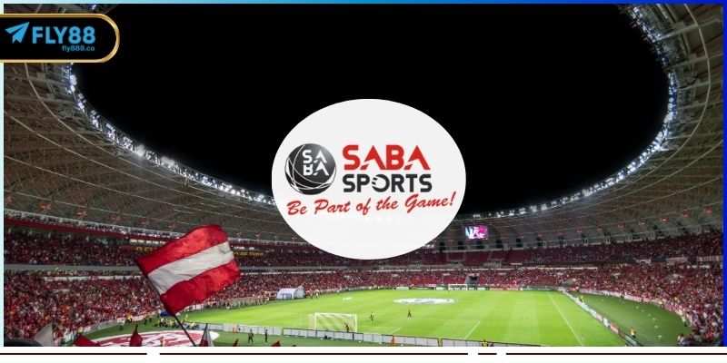 Khám phá top ưu điểm nổi bật của sảnh thể thao Saba
